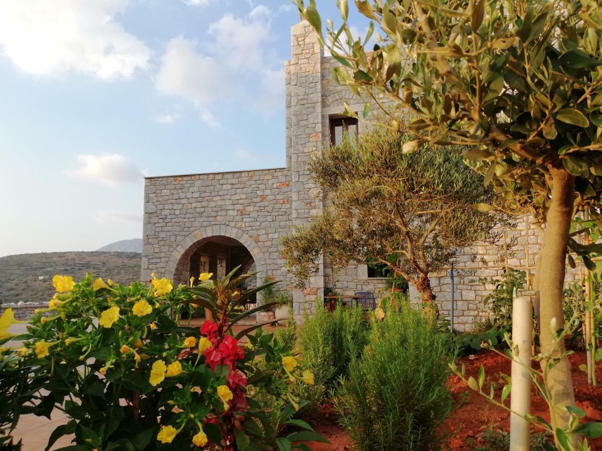 Athevillas Chrysoula Mézapos Kültér fotó